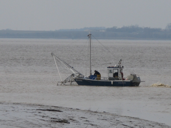 Bateau de pêche en action au large du port de Vitrezay.