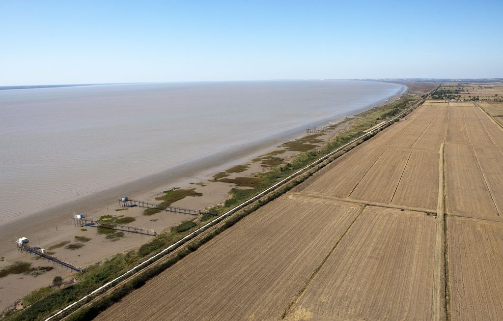 Vue aérienne de l'estuaire, des carrelets et des marais.