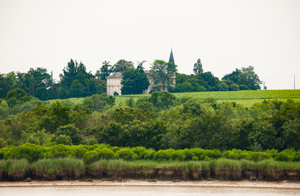 Vue d'ensemble depuis l'estuaire.