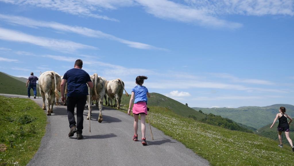 Fête de la Marque d'Urepel : arrivée au plateau de Sorrogain.