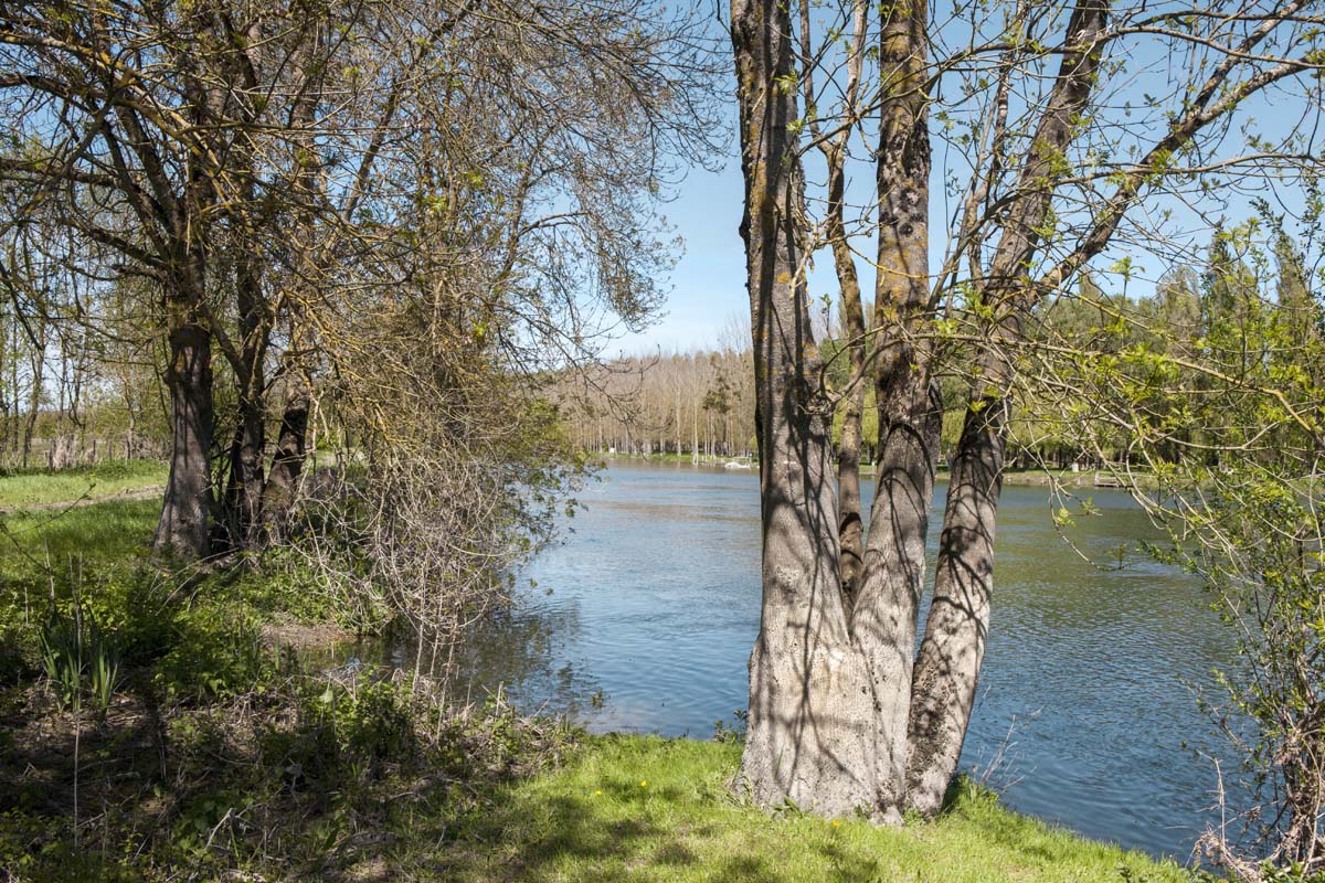 La rive du fleuve Charente face au bourg de Chaniers.