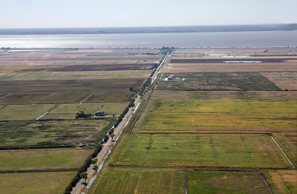 Vue aérienne des marais.