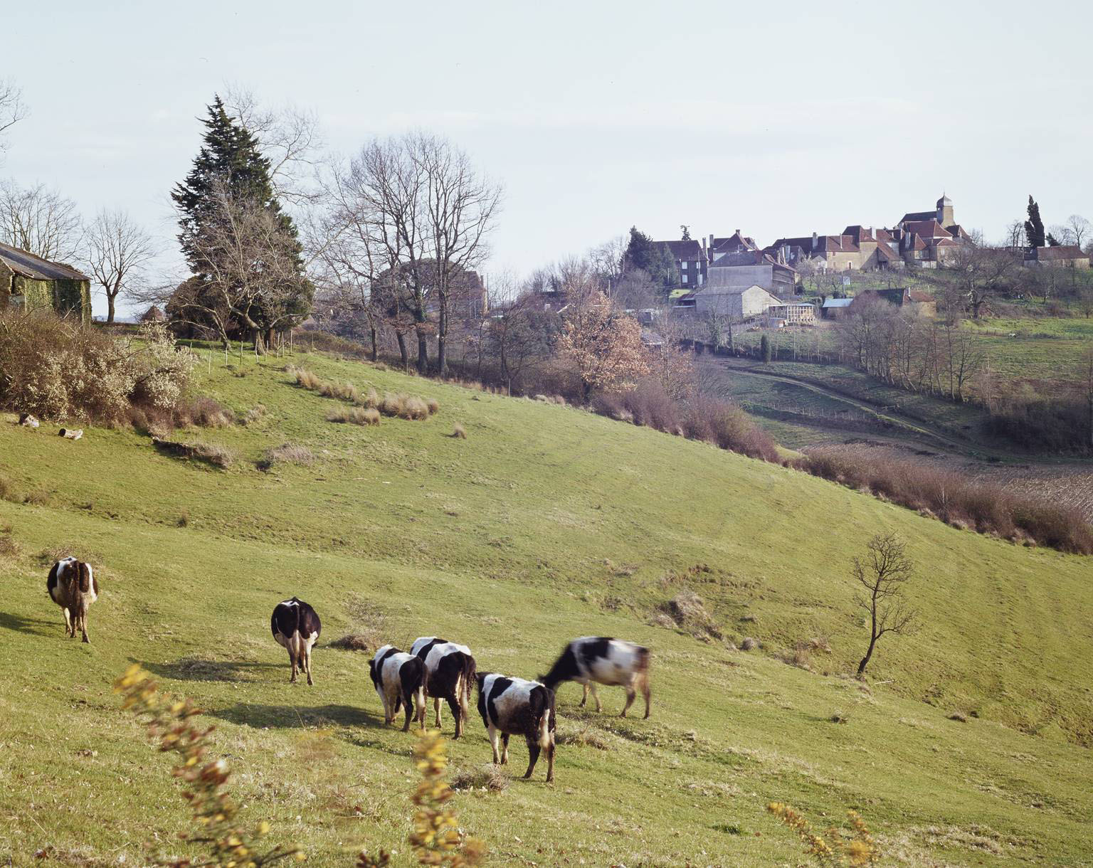 Ensemble du village.